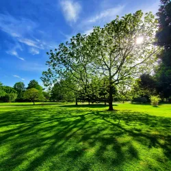 St Nicholas Park - Warwick