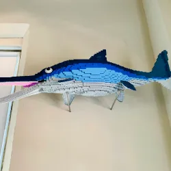 Warwickshire Museum - Warwick