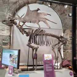 Warwickshire Museum - Warwick