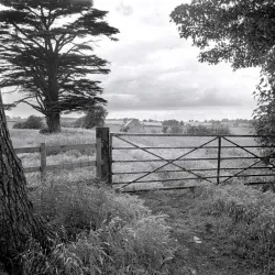 Church of St. Peter and St. Paul - Wellingborough