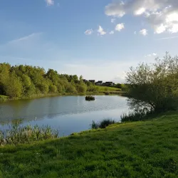 Croyland Park - Wellingborough