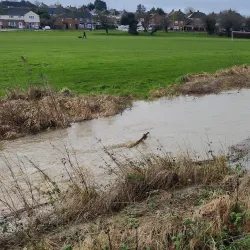 Croyland Park - Wellingborough