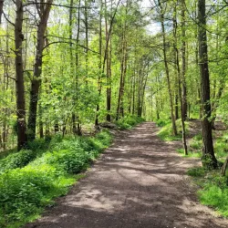 Irchester Country Park - Wellingborough