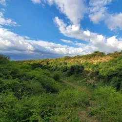 Irchester Country Park - Wellingborough