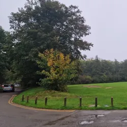 Irchester Country Park - Wellingborough