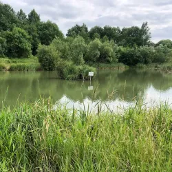 Swanspool Lake and Park - Wellingborough