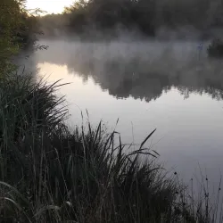 Swanspool Lake and Park - Wellingborough