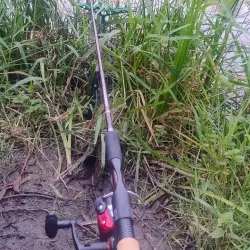 Swanspool Lake and Park - Wellingborough