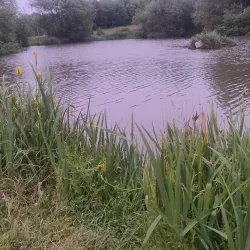 Swanspool Lake and Park - Wellingborough