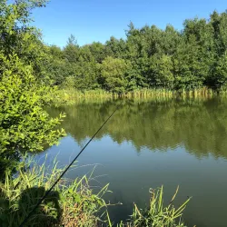 Swanspool Lake and Park - Wellingborough