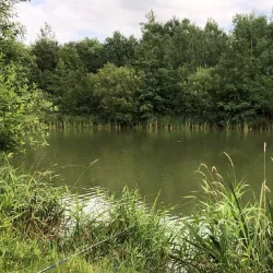 Swanspool Lake and Park - Wellingborough