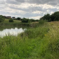 Swanspool Lake and Park - Wellingborough