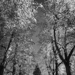 Berriew Village - Welshpool