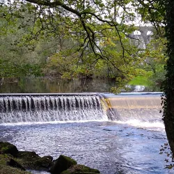 Lake Vyrnwy - Welshpool