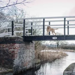 Montgomery Canal - Welshpool