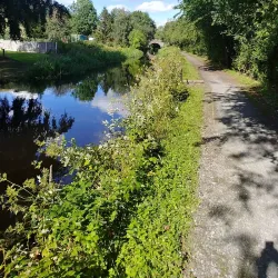 Montgomery Canal - Welshpool