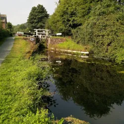 Montgomery Canal - Welshpool