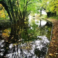 Montgomery Canal - Welshpool