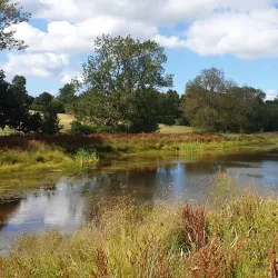 Montgomery Canal - Welshpool