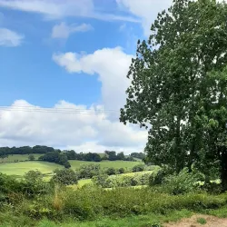Welshpool and Llanfair Light Railway - Welshpool