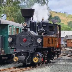 Welshpool and Llanfair Light Railway - Welshpool