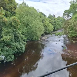 Welshpool and Llanfair Light Railway - Welshpool