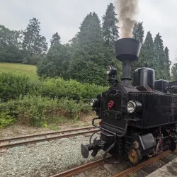 Welshpool and Llanfair Light Railway - Welshpool