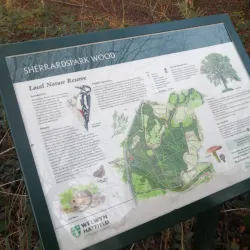 Sherrardspark Wood - Welwyn Garden City