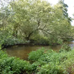 Stanborough Park - Welwyn Garden City