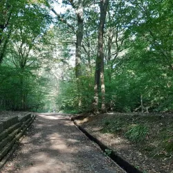 Welwyn Garden City Golf Club - Welwyn Garden City