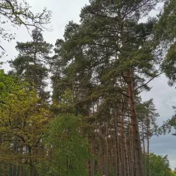 Welwyn Garden City Golf Club - Welwyn Garden City