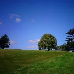 Welwyn Garden City Heritage Trail - Welwyn Garden City