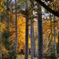 Welwyn Garden City Heritage Trail - Welwyn Garden City