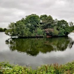 Dartmouth Park - West Bromwich