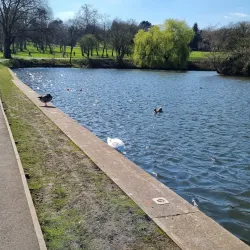 Dartmouth Park - West Bromwich