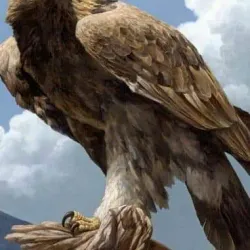 Dartmouth Park - West Bromwich