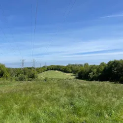 Sandwell Park Golf Club - West Bromwich