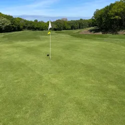 Sandwell Park Golf Club - West Bromwich