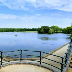 Sandwell Valley Country Park - West Bromwich
