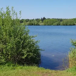 Sandwell Valley Country Park - West Bromwich