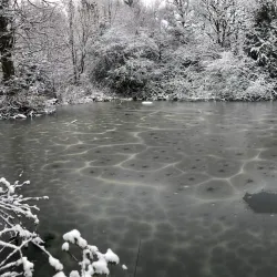 Sandwell Valley Country Park - West Bromwich