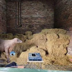 Sandwell Valley Visitor Centre - West Bromwich