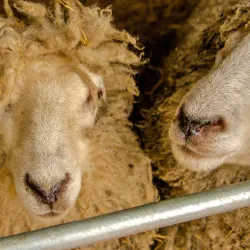 Sandwell Valley Visitor Centre - West Bromwich