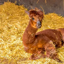 Sandwell Valley Visitor Centre - West Bromwich