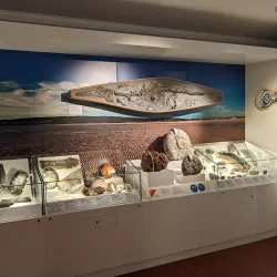 Weston Museum - Weston-super-Mare