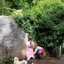 Weston Woods - Weston-super-Mare