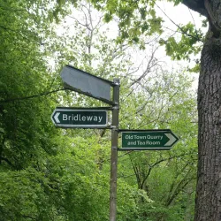 Worlebury Hill and Woods - Weston-super-Mare