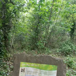 Worlebury Hill and Woods - Weston-super-Mare