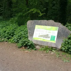 Worlebury Hill and Woods - Weston-super-Mare