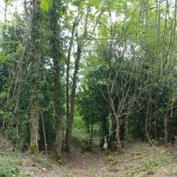 Worlebury Hill and Woods - Weston-super-Mare